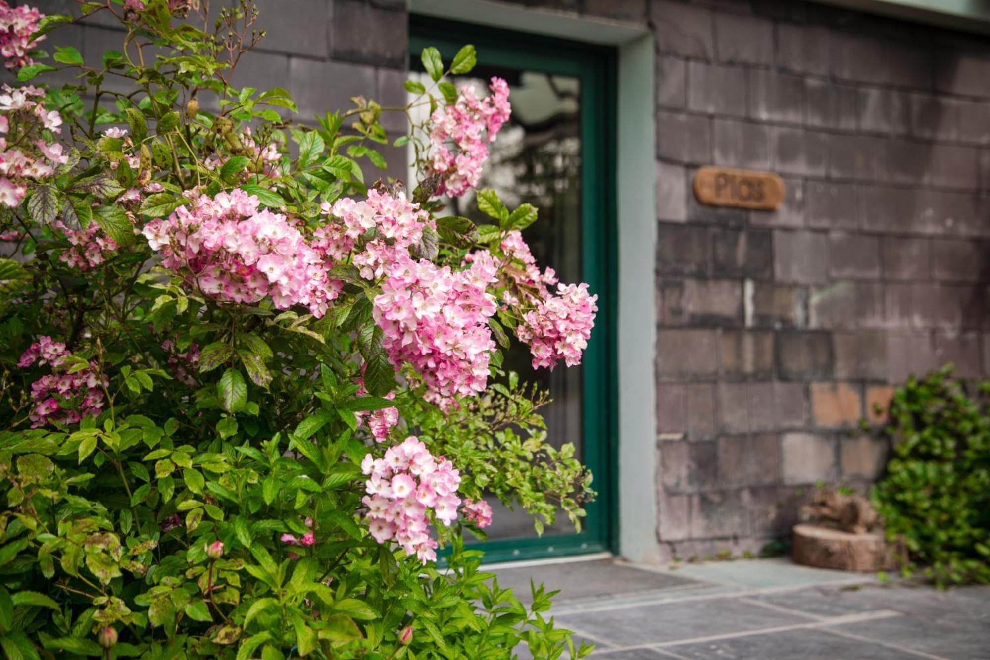 Trigonos - Quiet, Peaceful, Vegetarian B&B And Retreat Centre Nantlle Exterior foto
