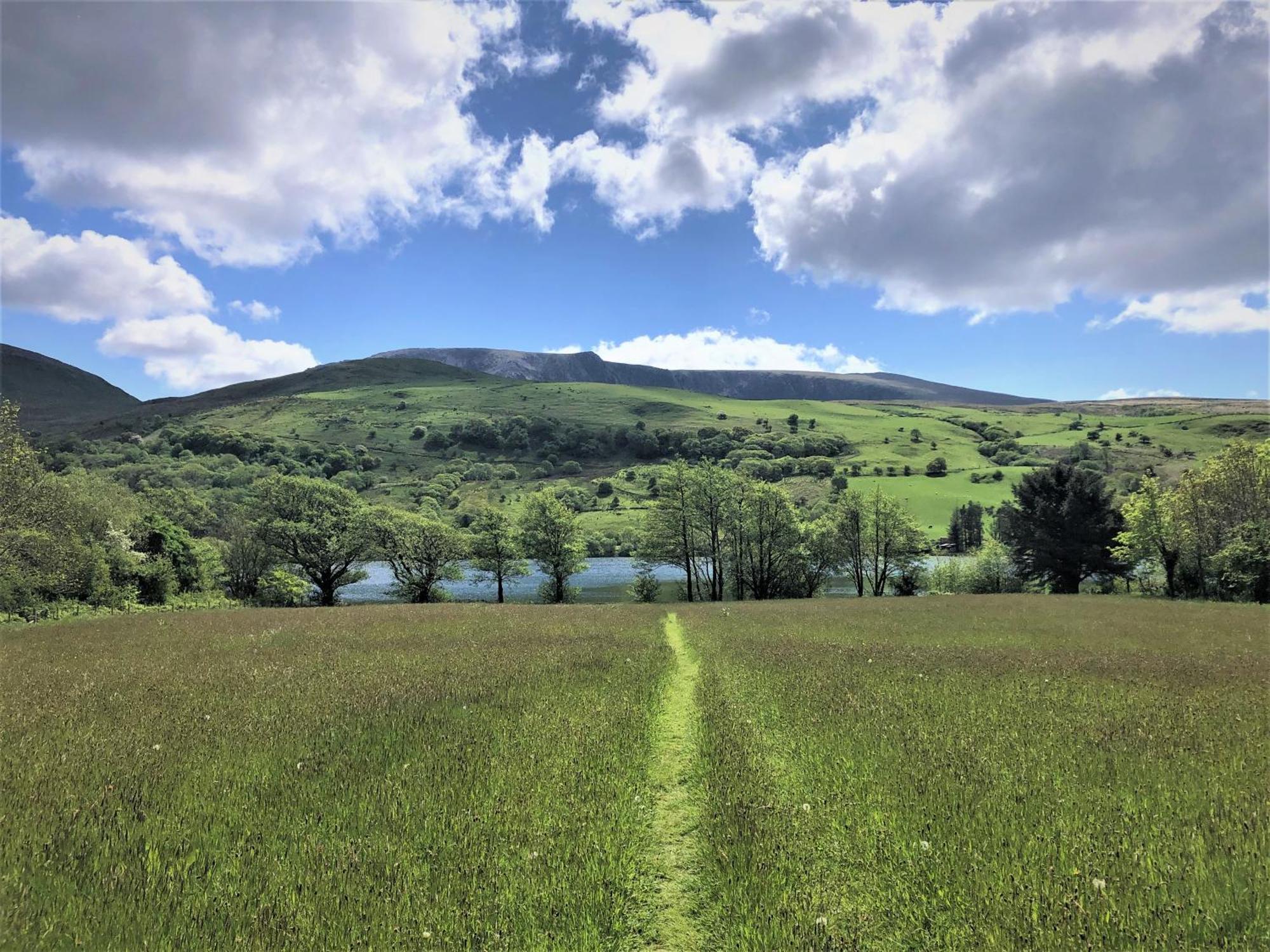 Trigonos - Quiet, Peaceful, Vegetarian B&B And Retreat Centre Nantlle Exterior foto